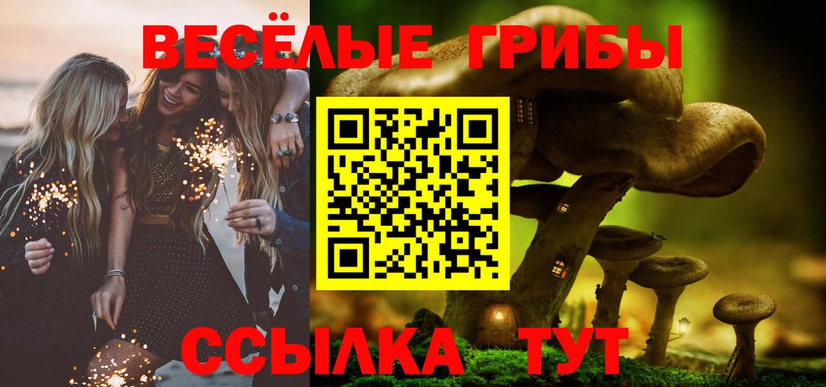 Галлюциногенные грибы Cubensis Москва