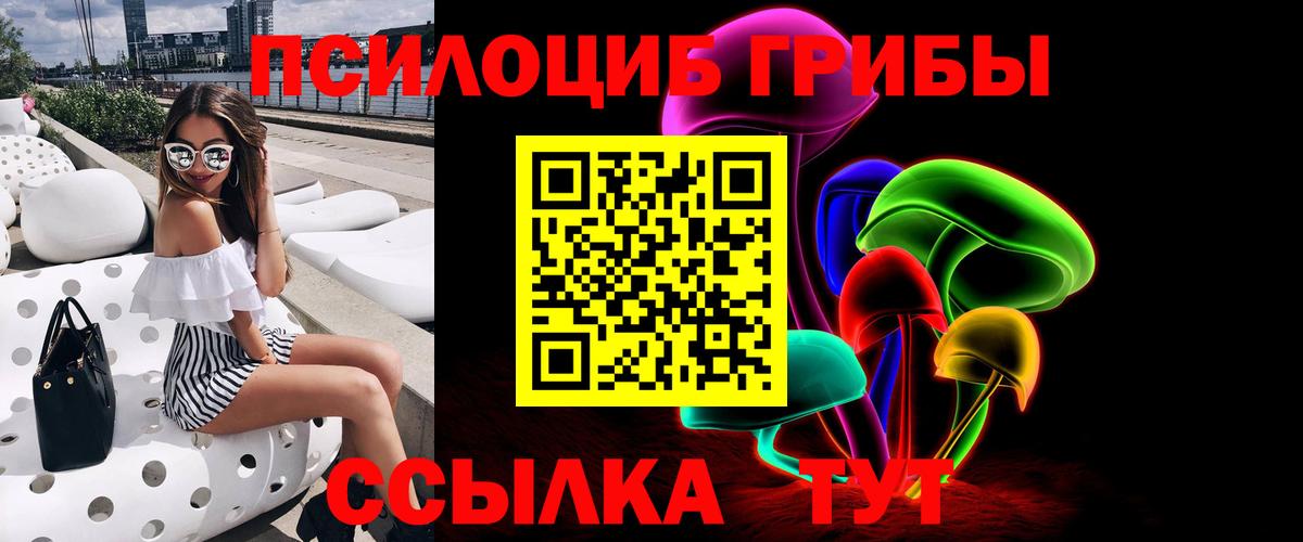 Псилоцибиновые грибы Cubensis  Вход с VPN  Псилоцибиновые грибы Psilocybe  Москва 